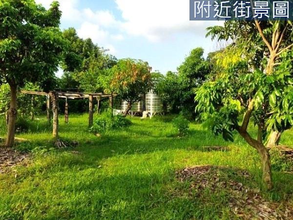 安南農地-1