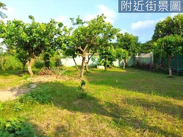 安南農地-2