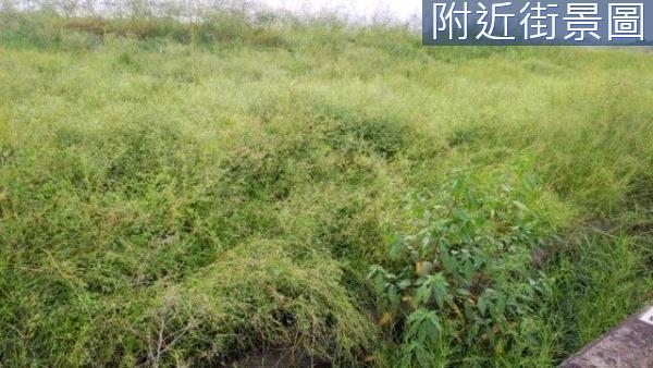 台南新市農地-0