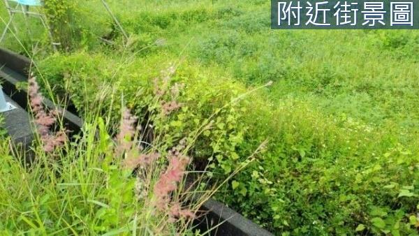 台南新市農地-1