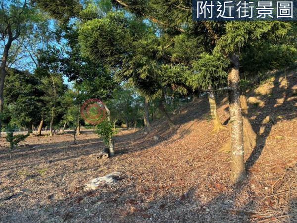 台南農地-1