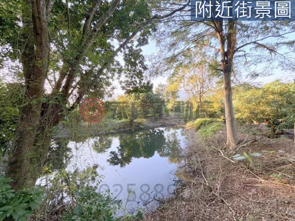 台南農地-3