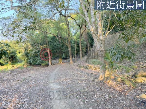台南農地-4