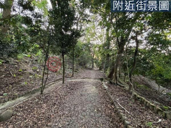 台南農地-5
