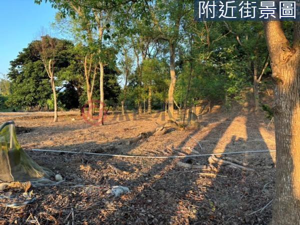台南農地-7