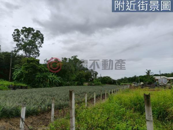 台南農地-7
