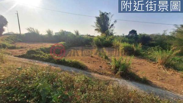 台南新化農地-0
