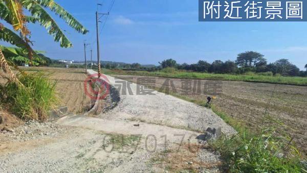 台南新化農地-5