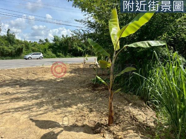 台南新化農地-0
