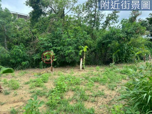 台南新化農地-1