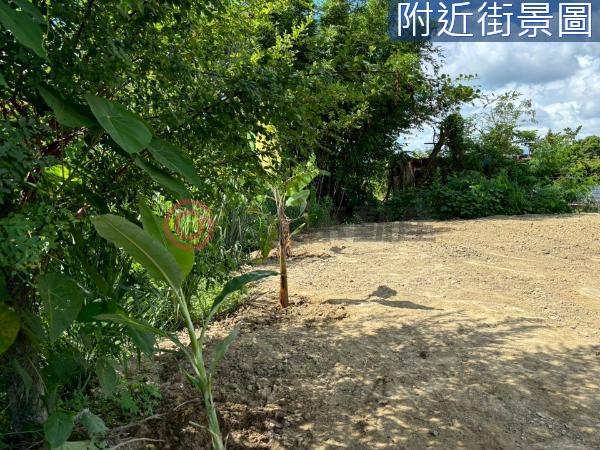 台南新化農地-3